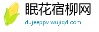 眠花宿柳网